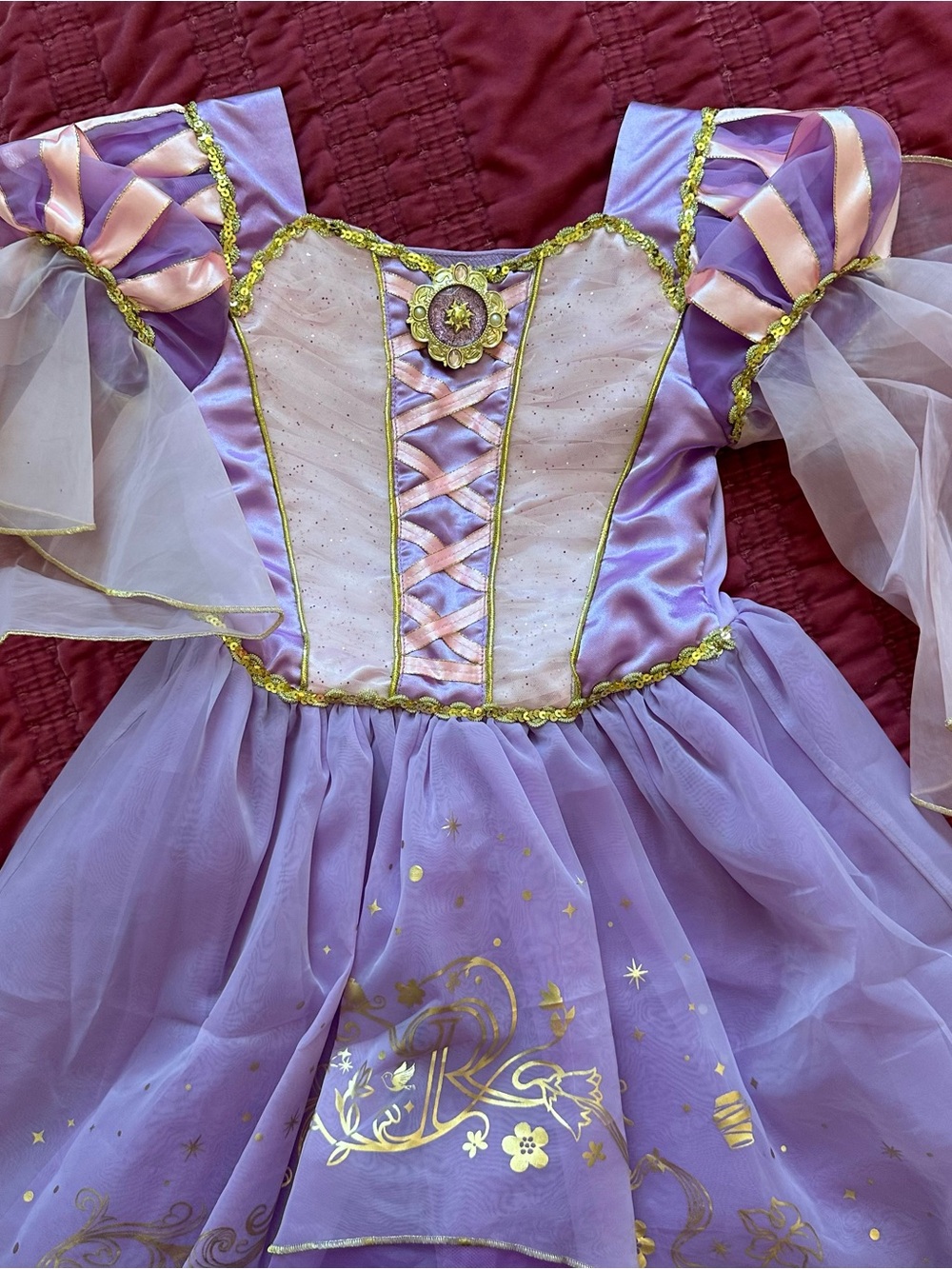 Disney Lavender and Pink Rapunzel Tangled Princess Dress Costume